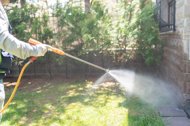 Outdoor Pest Control in White Salmon, WA